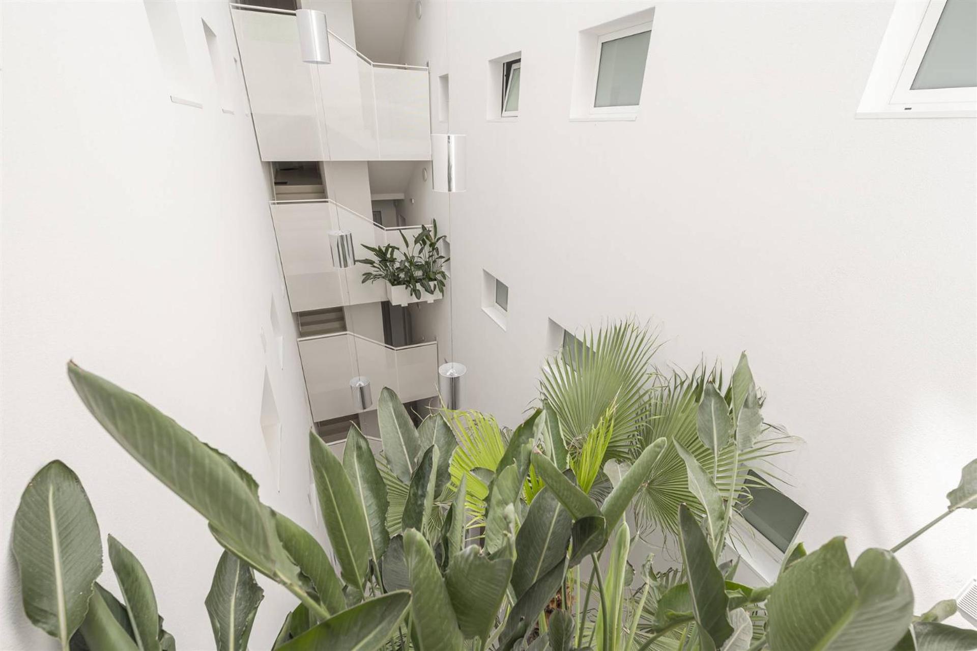 Palm 3